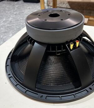 PADON T18 inch subwoofer dual magnetic subwoofer professional speaker 8Ω 100 voice