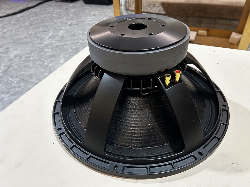 PADON T18 inch subwoofer dual magnetic subwoofer professional speaker 8Ω 100 voice